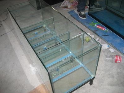 5 - 12 mm Lucid Glass Aquarium