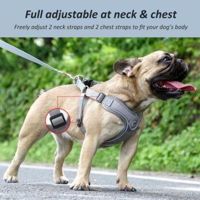 Reflective Pet Harness Leah Custom Sublimation Dog Collar and Rotating Clasp Leash