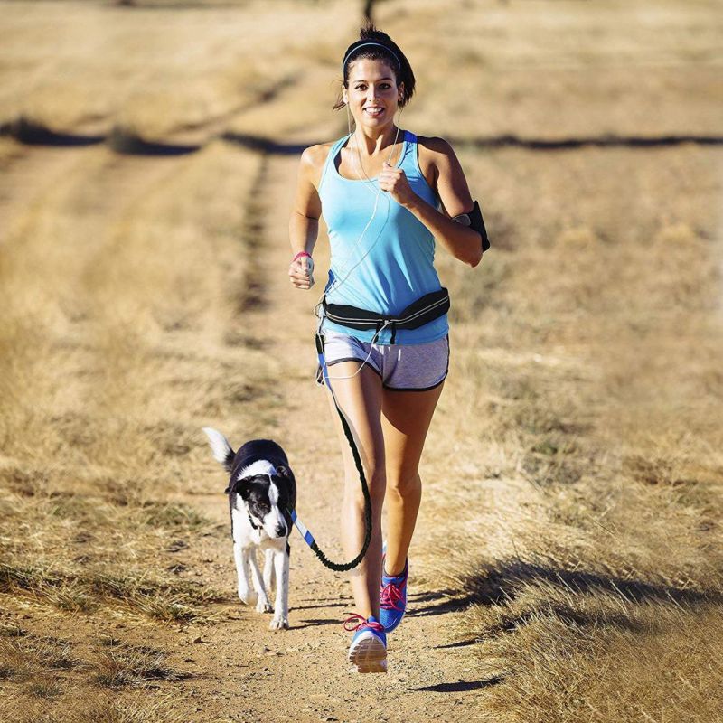 Retractable Dual Handle Bungee Waist Dog Leash