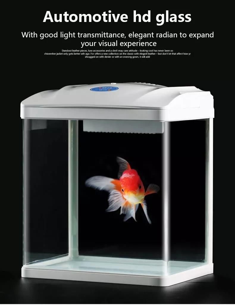 Wholesale Decorative Mini Glass Aquarium Tank with T5 Light