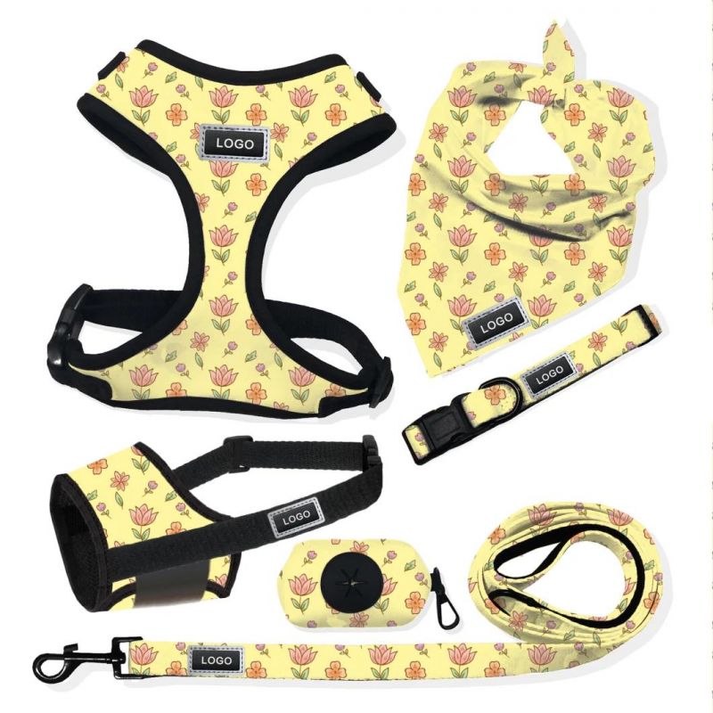 High Quality Wholesale Dog Leash Adjustable Dog Harness Cute Designs Chest Collar Halloween Pet Supplies