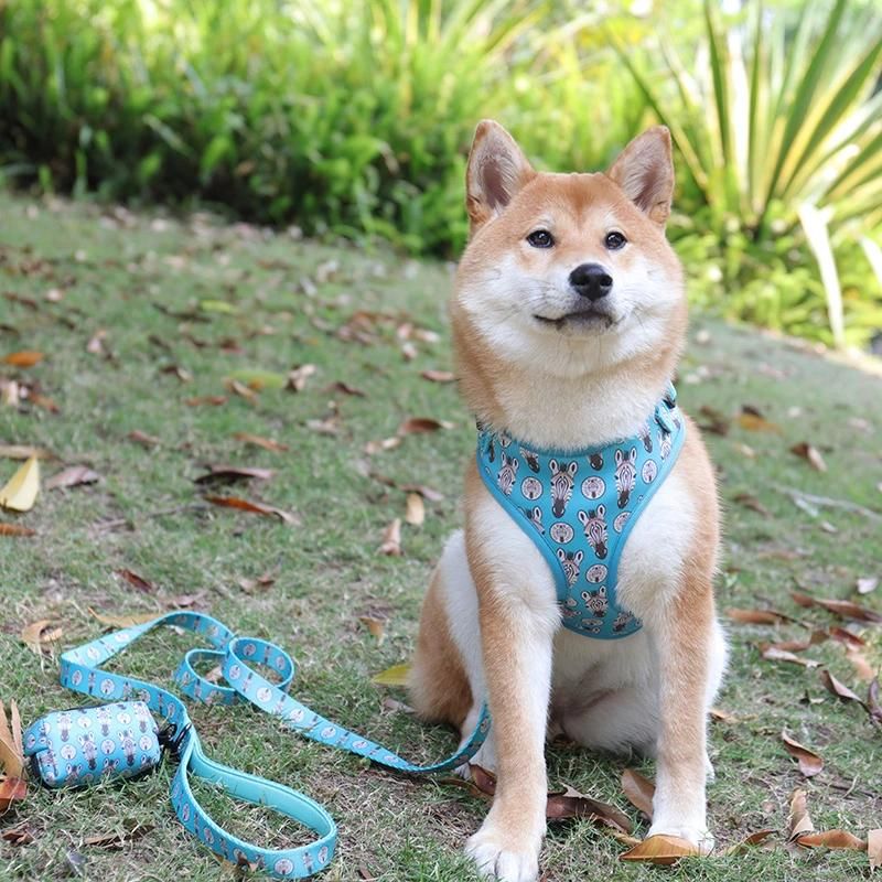 Manufacturer Custom Fashion Adjustable Pet Collar and Leash Harness Pet Accessories