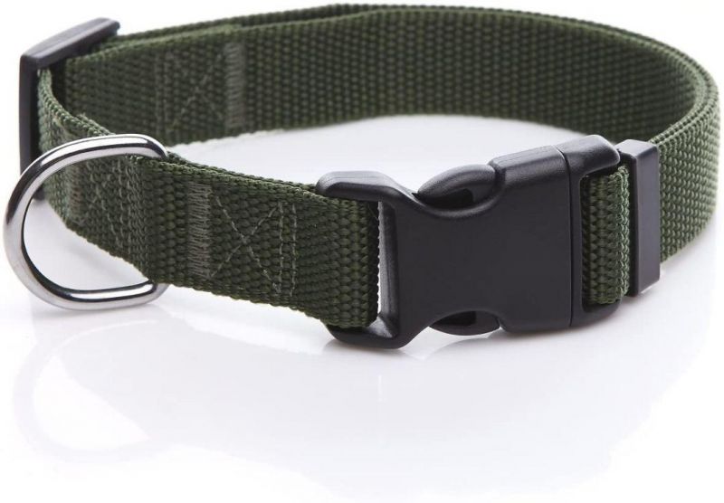 1 Inch Width Durable Adjustable Nylon Dog Collar
