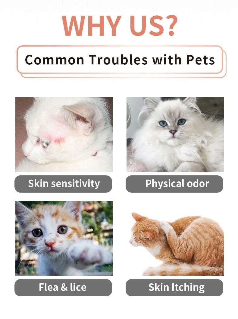 OEM Hot Sales Natural Fluffy Look Anti-Kont Cat Shower Shampoo 470ml