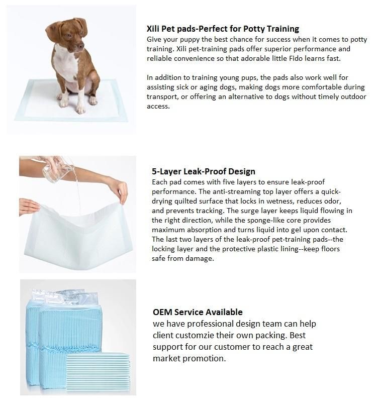 4 Layers of Pet Urine Pad Biodegradation Factory Wholesale