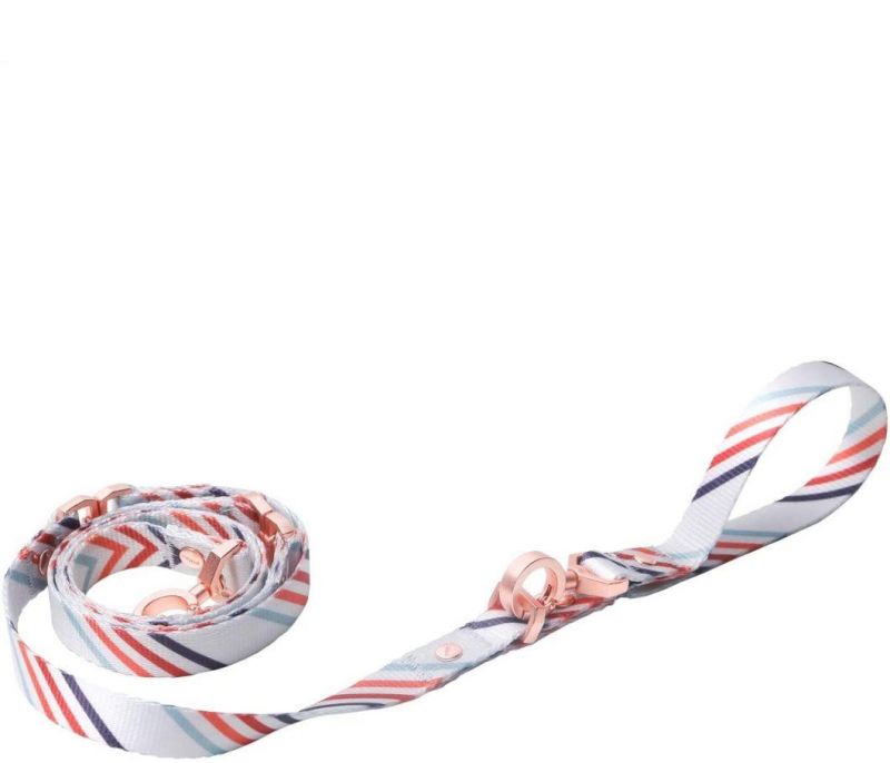 Bracelet Type Dog Leash 57 Inches for Puppy Small Dogs Dog Leash