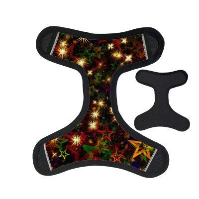 2021 Hot Sell Customized Walking Puppy Pet Harness Set (harness, collar, leash)