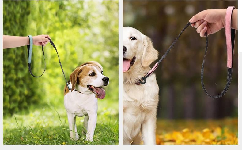 Light Reflective Fashion Collar and Leash for Pet Dog