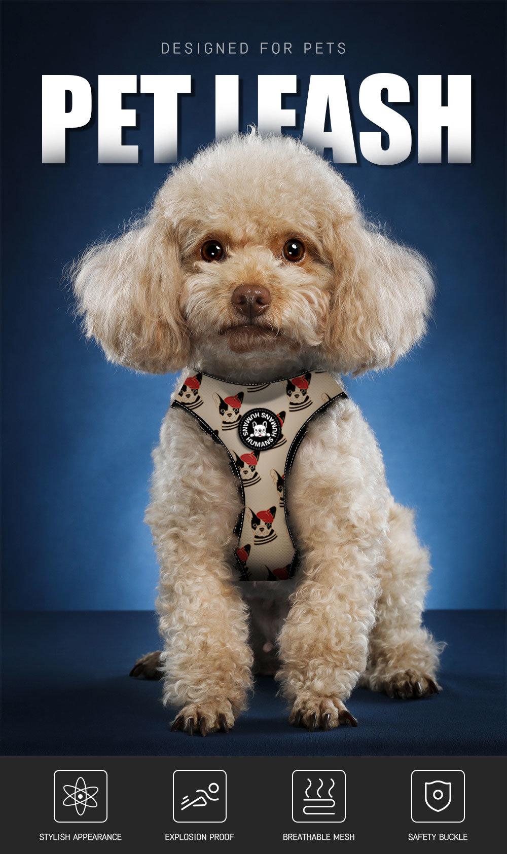 High Quality Pet Supplies Custom Print Dog Harness Belt and Leash Set Dog Accessories Breathable /Epidemic Price