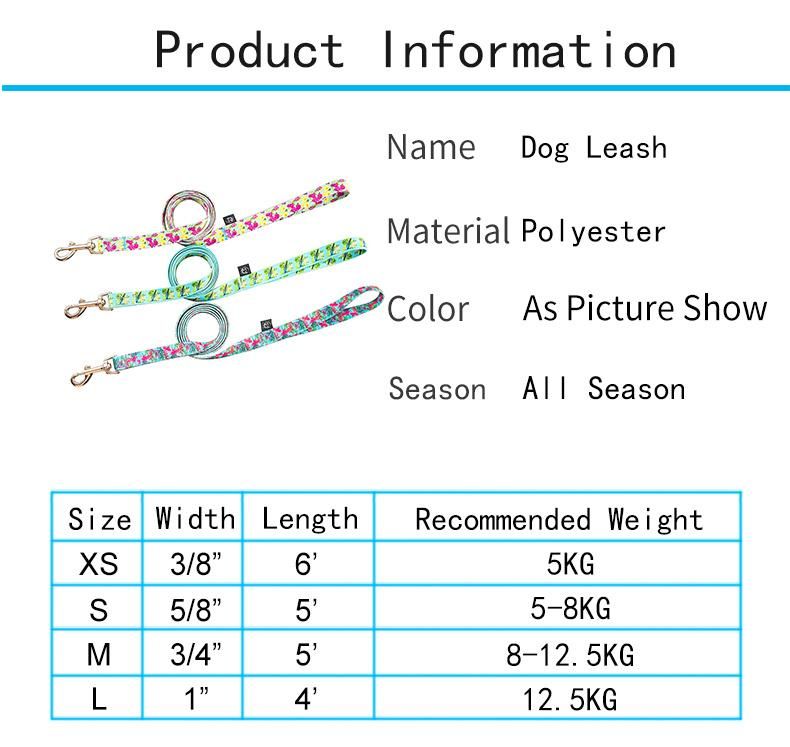 Pet Manufacturer Custom Luxury Woven Label Print Double Logo Dog Cat Puppy Collar Leash Set