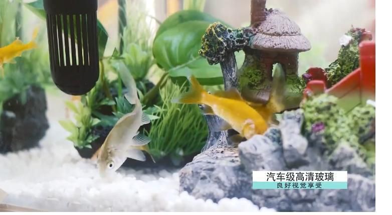 Wholesale Automatic Filter Betta Tropical Fish Fish Tank Aquarium