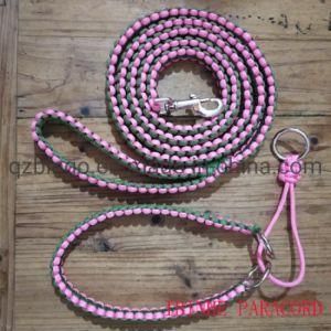 Bingo Hand Survival Paracord Dog Leash and Collar Set