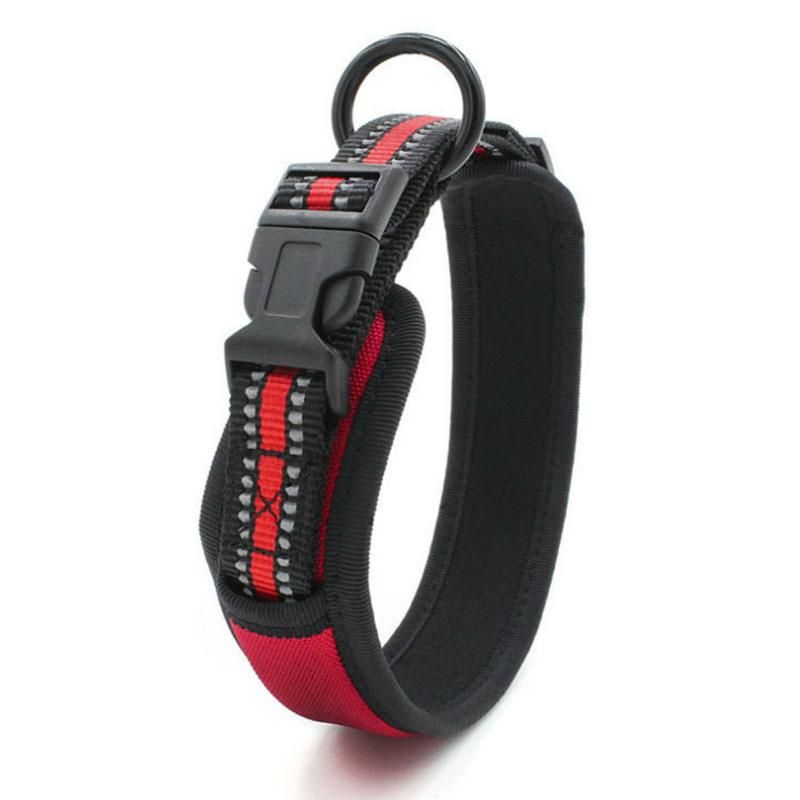 Neoprene Padded Dog Collar for Medium and Large Dog