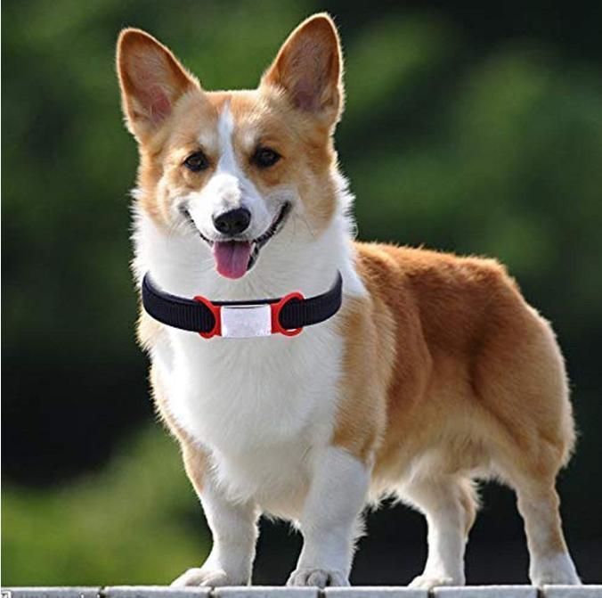 Customs Branding Lovely Animal Safety Tag Blank Silicone Metal Tag Stainless Steel Pet Metal Blank Label