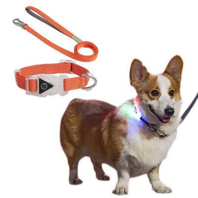 Reflective Light Night De Luz PARA Mascotas Perro Con Perros Collares Perroslar LED Dog Collar Glow in The Dark