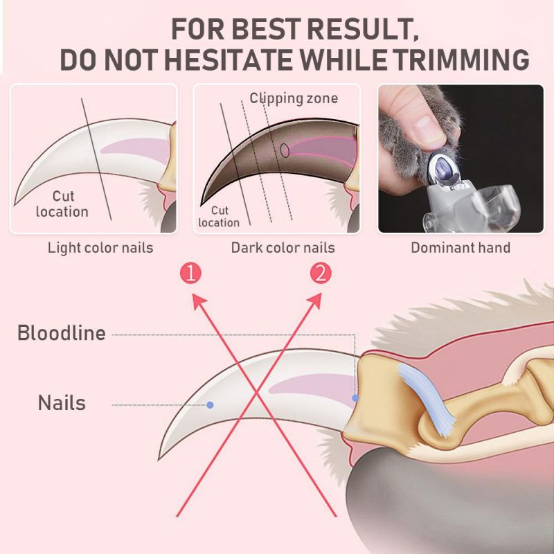 Wholesale Quality Stainless Steel Pet Nail Clipper with LED Quality Dog Cat Cutter Fingernail Clipper Hot Pet Nail Clippers Trimmer