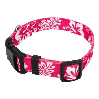 Premium Adjustable Neoprene Plastic Buckle Dog Collar
