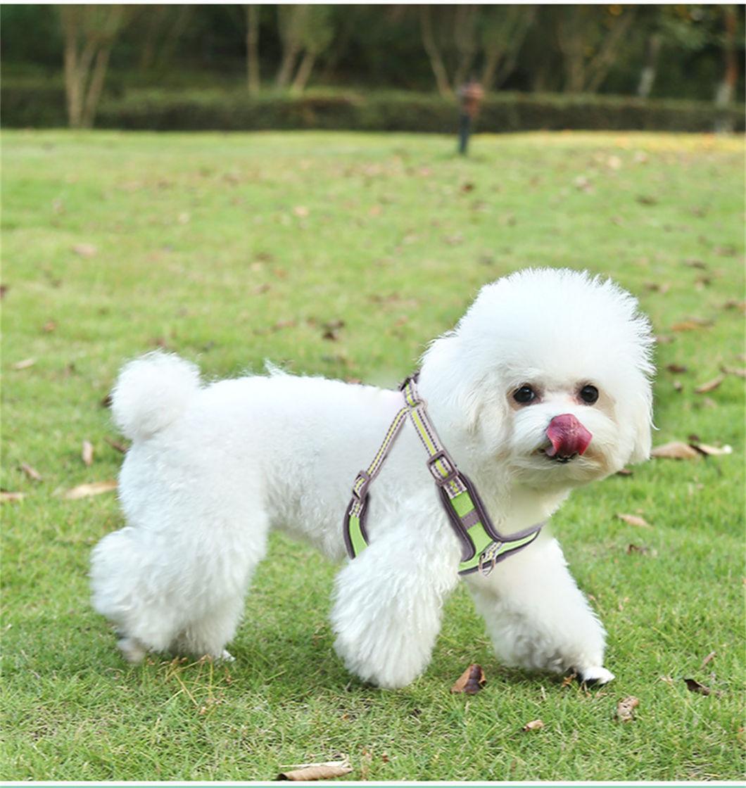 Dog Harness Puppies Walking Dog Leash Cat Dog Accessories