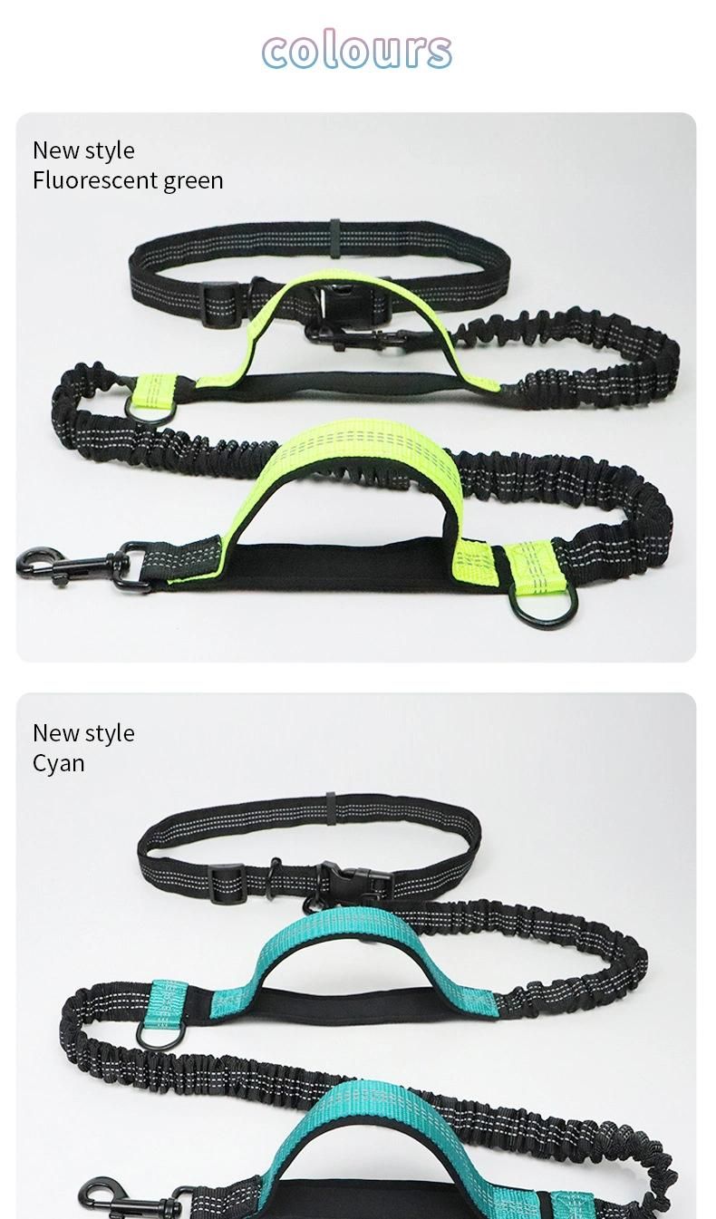 New Style Shock-Absorbing Bungee with Reflective Stitching Soft and Skin-Friendly Dog Lead Pet Leashes