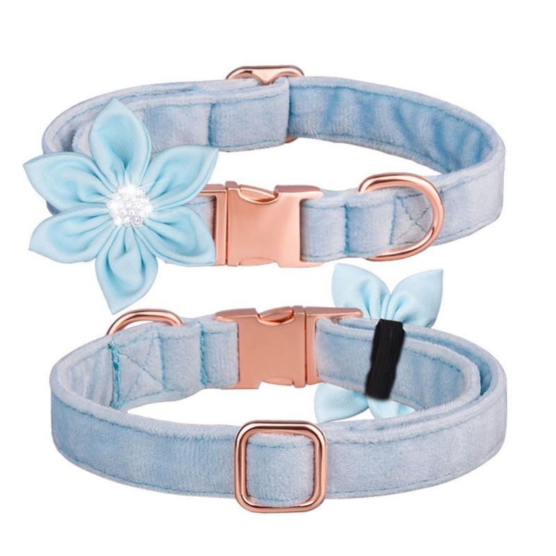 Fashionable Six Petals Design Dog Collar with Matching Dog Leash