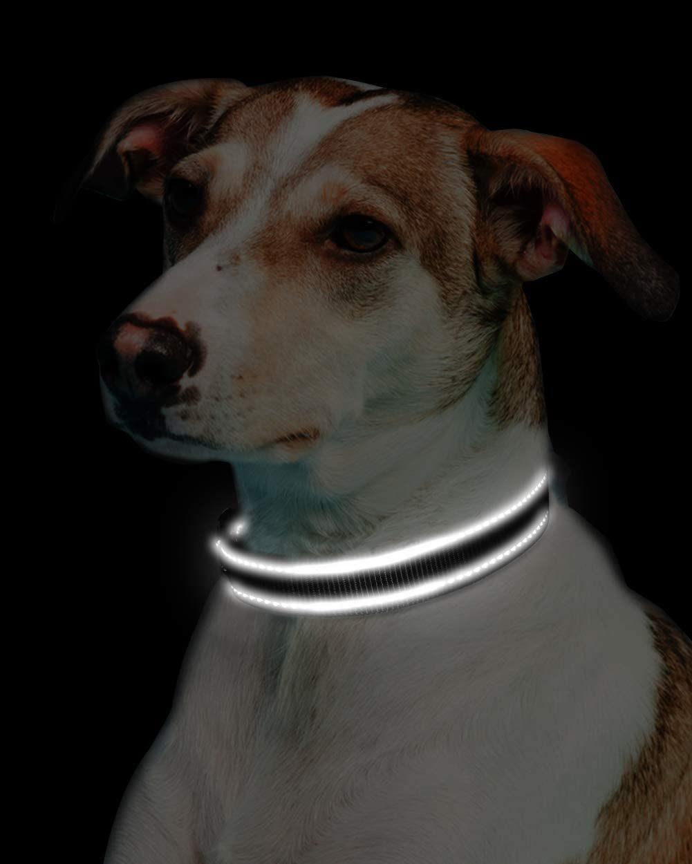 Soft Neoprene Padded Breathable Nylon Pet Collar with Adjustable Size