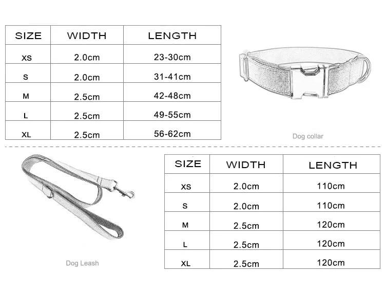 Factory Wholesale Nylon Webbing Dog Leash Suit