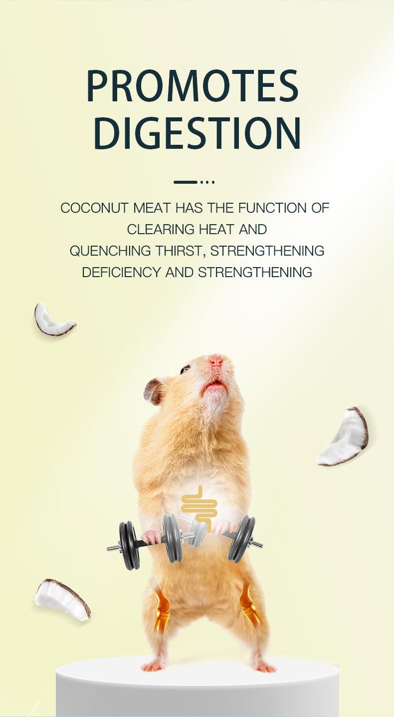 Yee Shredded Coconut No Suger Adding Health Food Small Pet Hamster Snacks