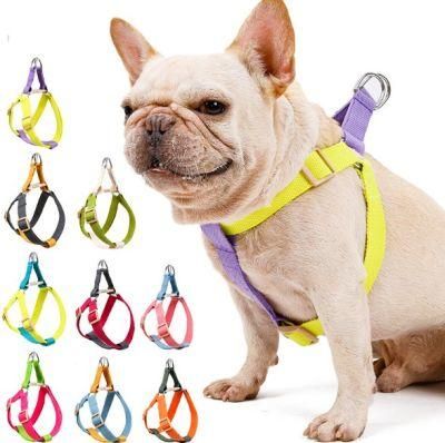 Factory Shipment Pet Outing Supplies Ins Style Color Rainbow Leash Chest Harness Chain Dog Traction Rope