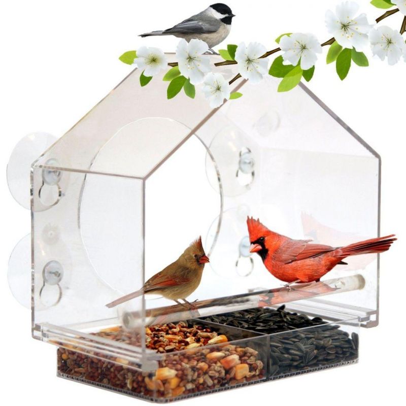 Hot Sale House Acrylic Bird Feeder with Suction Cups