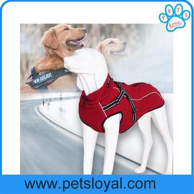 Factory New Design Luxury Pet Dog Clothes with Collar