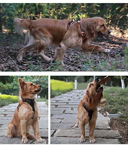 Comfortable Lightweight Mesh Lining No Pull Dog Harness