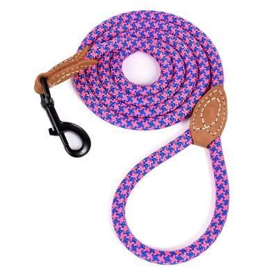 Heavy Duty Clasp with Classic Leather Connection Dog Leash