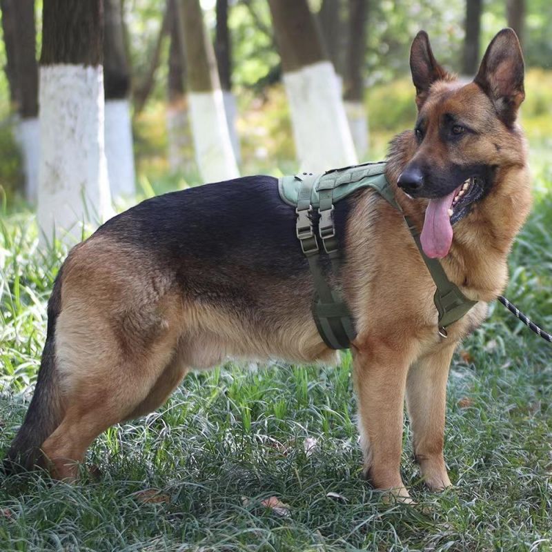Large Tactical Dog Harness No Pulling Adjustable Dog Vest Harness