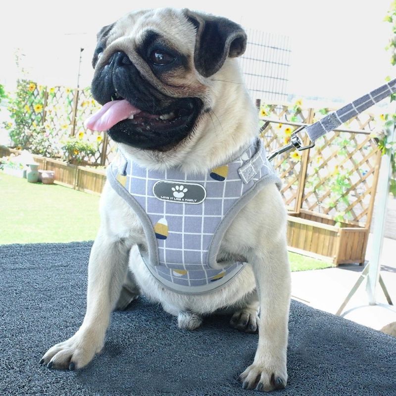 Dog Harness Breathable Mesh Vest Adjustable Dog Harness Reflective Dog Accessories