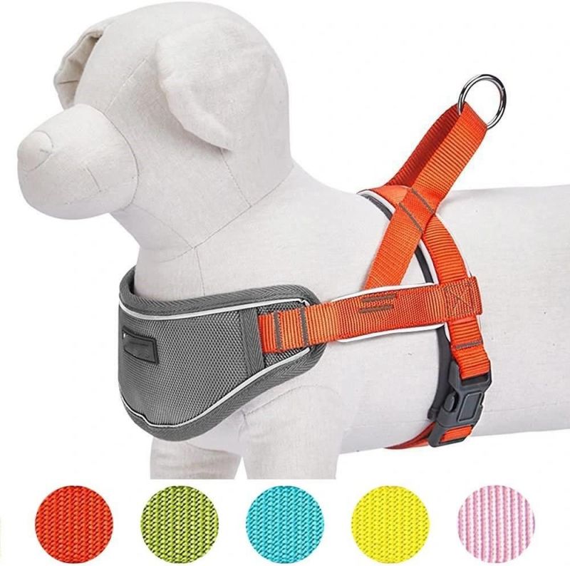 One Click Buckle & Easy Control Dog Harness