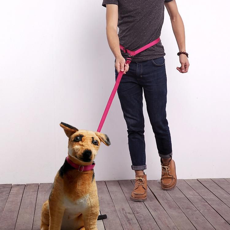Muti-Color Pet Product Hiking Running Pet Dog Leash Weave Pet Accessories