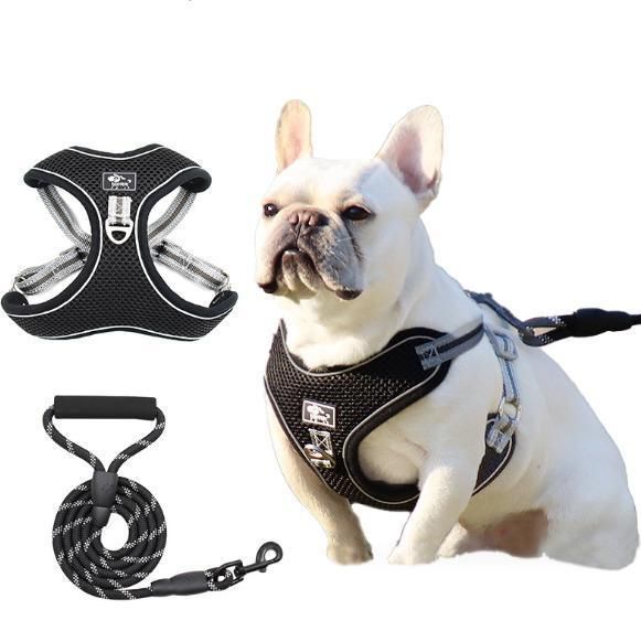 Extra Large 4XL New Arrivals Ins Hot Reflective Breathable Doggy Chest Back Traction Design Pet Dog Leash Set