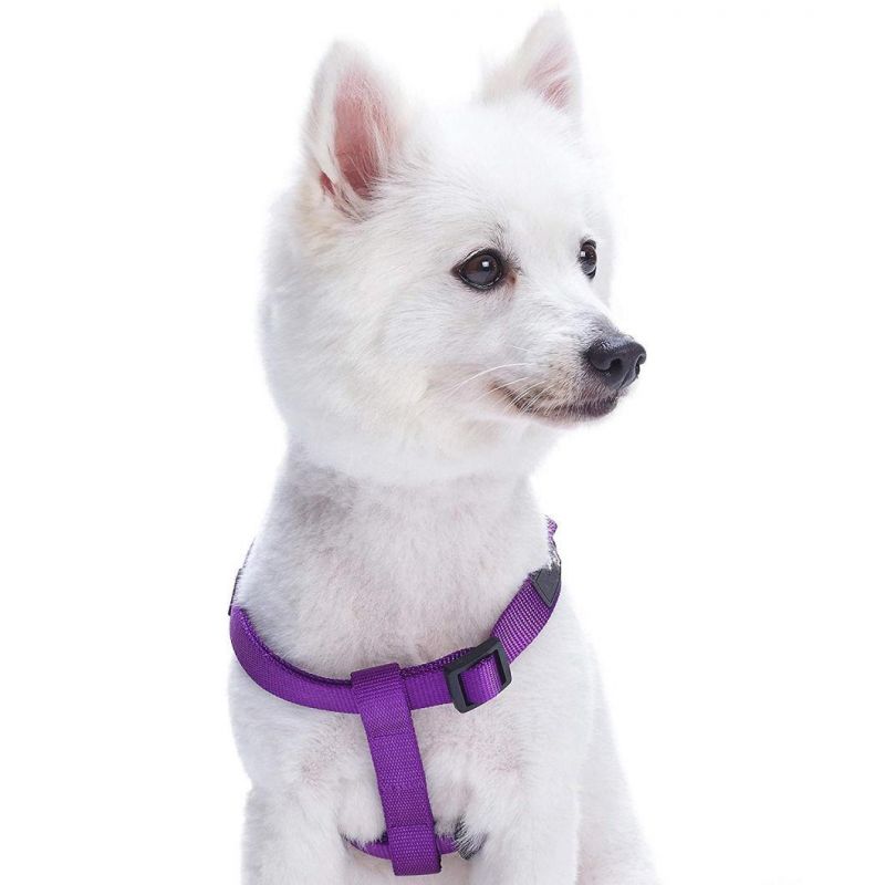 Classic Solid Dark Orchid Color Adjustable Dog Harness