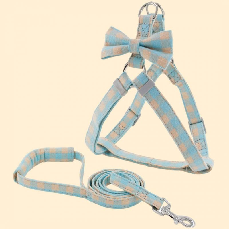 Popular Bowtie Pet Harness and Leash Set