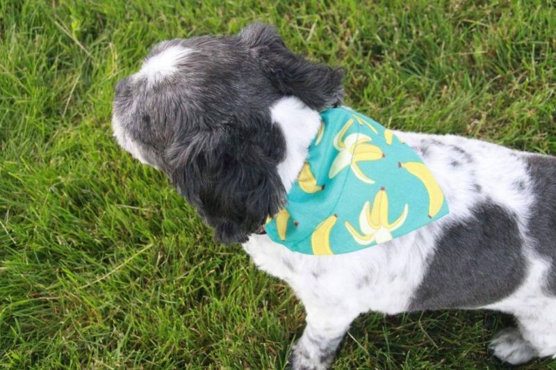 Premium Wholesale Polyester Cotton Breathable Popular Dog Bandana