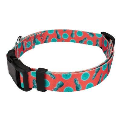 OEM Wholesale Free Sample Polyester Webbing Custom Pattern Pet Dog Accessories Dog Collar