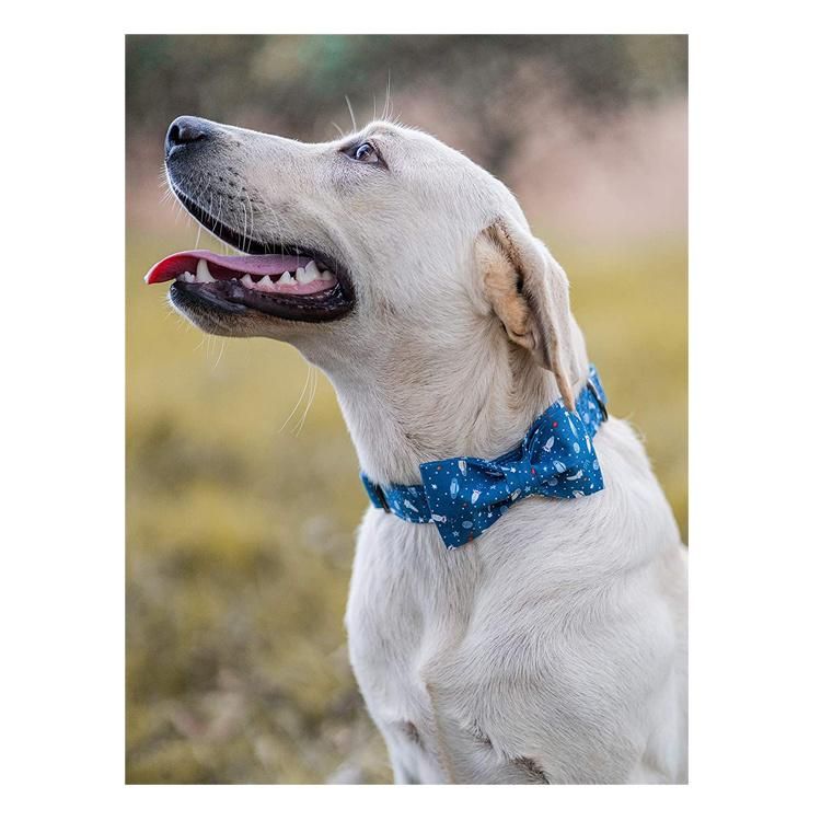 Custom Logo and Pattern Special Bow Tie Dog Collar Adjustable Printed Strong Durable Print Cotton Webbing Pet Bowknot Collars