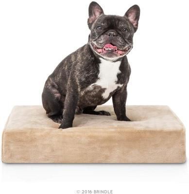 high-Density Memory Foam Dog Bed Joint Reliving Raised Dog Bed