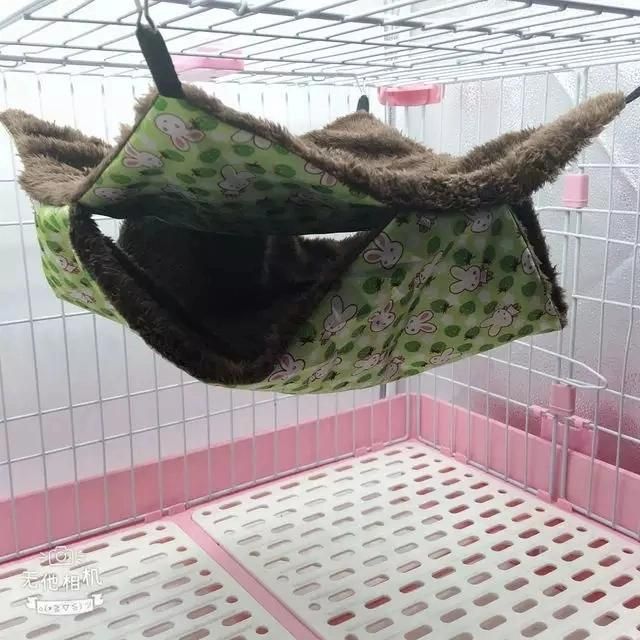 Luxurious Pet Bird and Pet Hammock Room