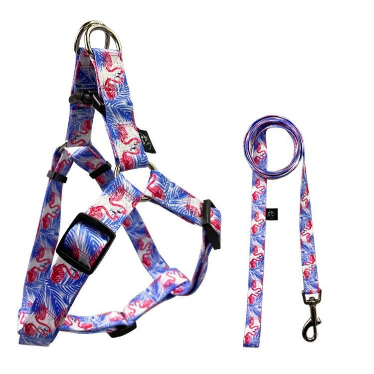 Wholesale Pets Accessories Comfortable Durable Dog Harness and Leash