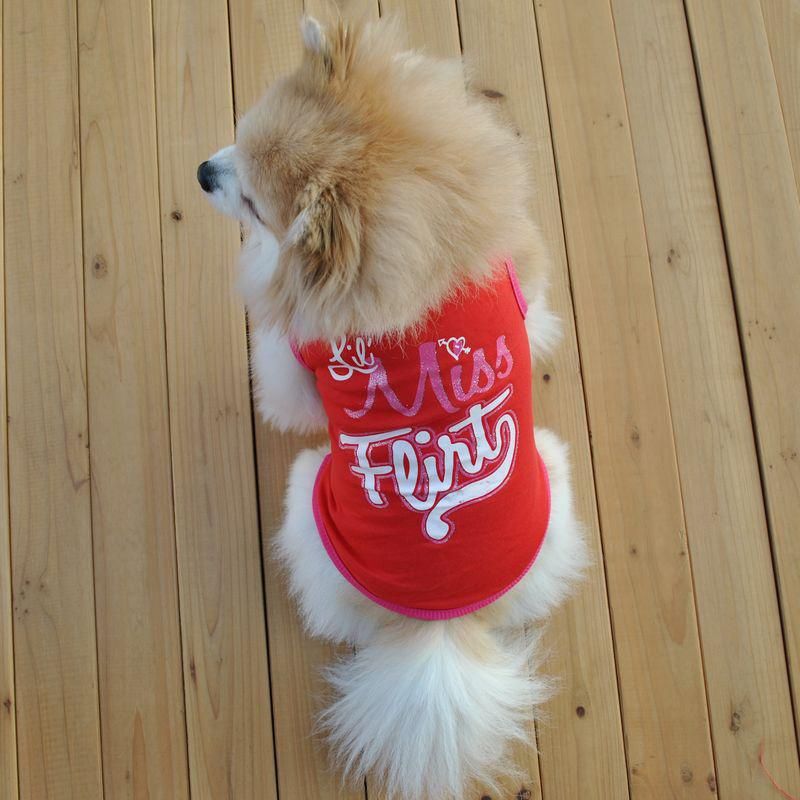 Fast-Dry Instant Cooling Pet Shirts Cute Puppy Dog Cat T-Shirt Tank Summer Clothes Cooling Ice Vest for Dogs