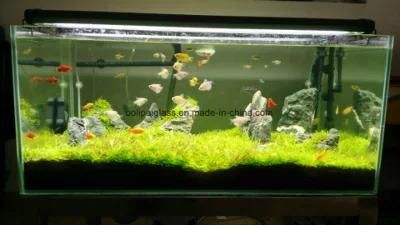 Custom Made Large Glass Aquarium Fish Tank