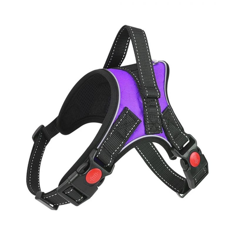 Dog Harness with Leash Pet Adjustable Reflective Vest Walking Lead