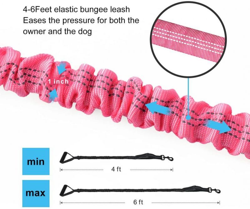 training Dog Leash with Comfortable Padded Handle and Traffic Handle Suitable for Training