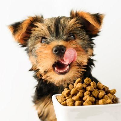 Natural Fresh Rich Dry Pet Food for Cat/Dog Bulk Products